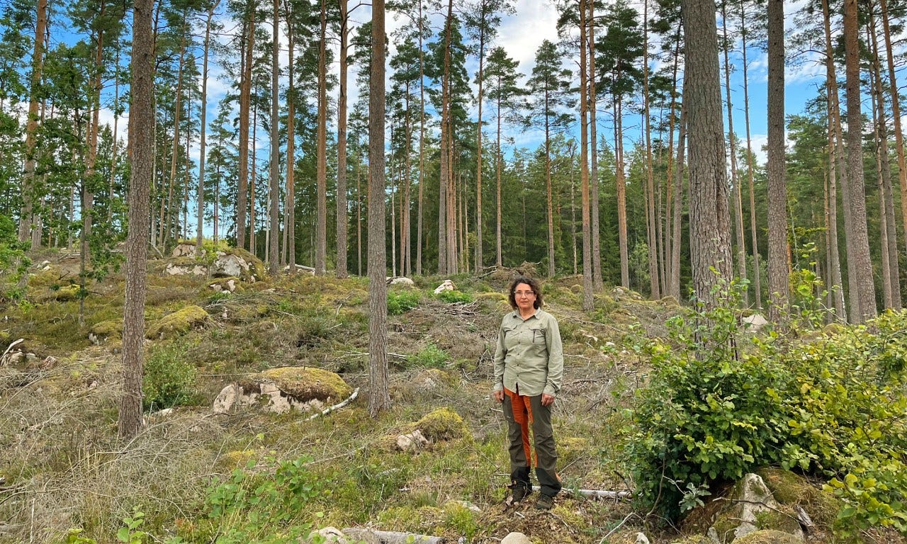 Karin Ek i skogen