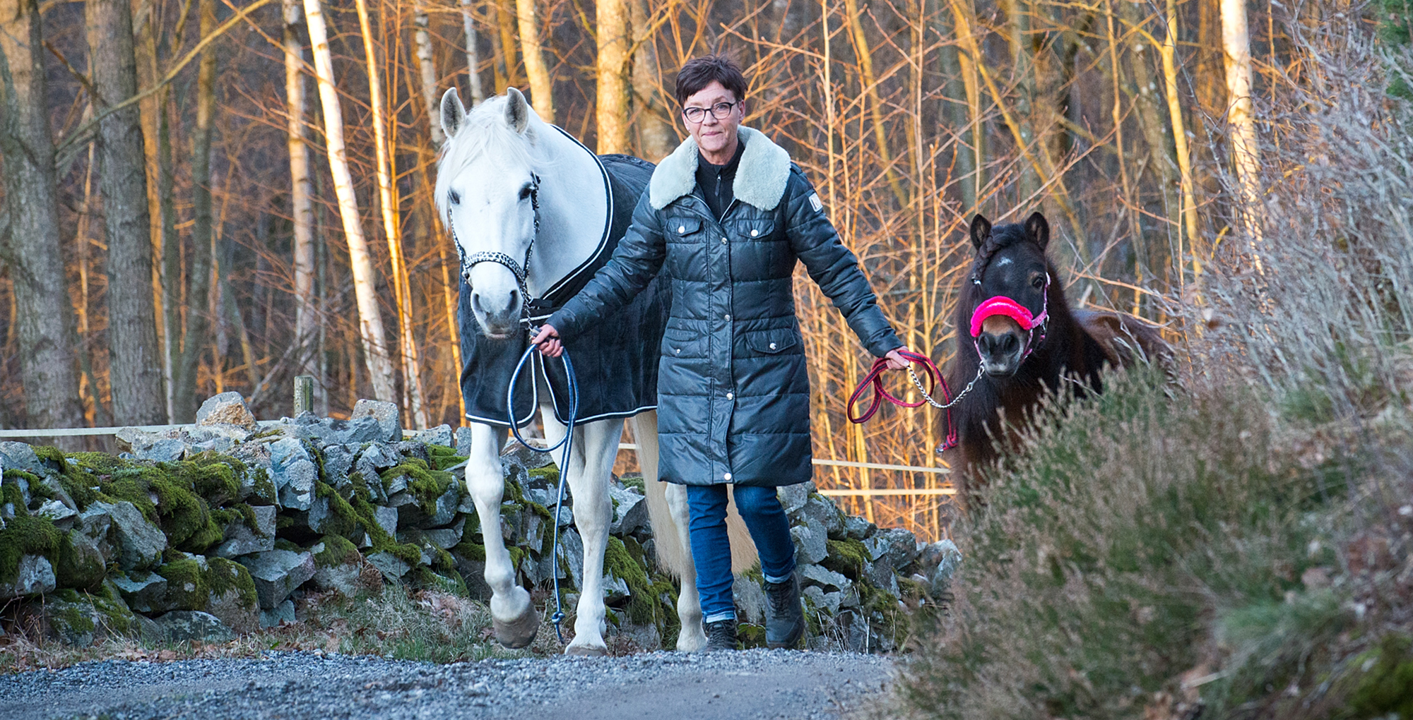 Lotta Johansson