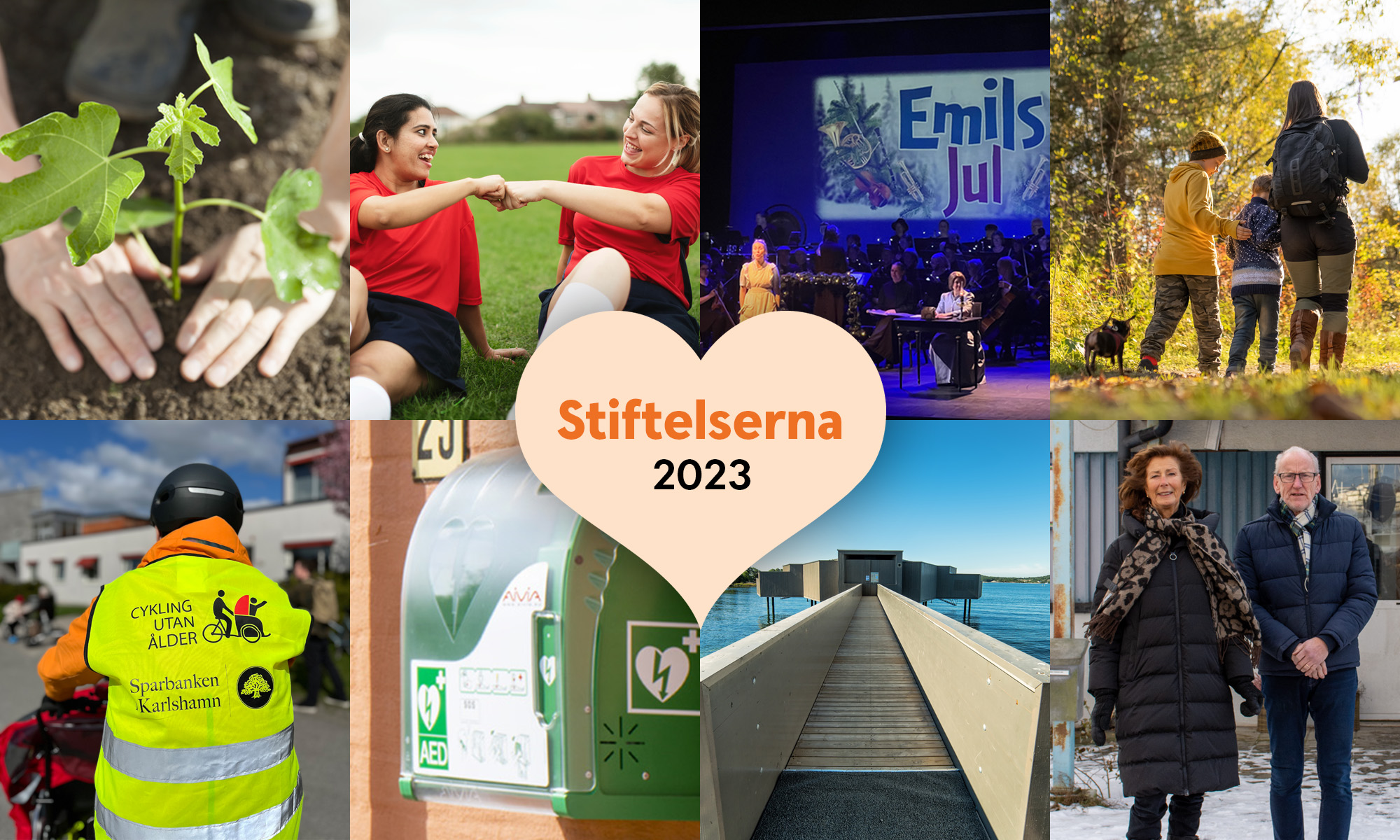 8 bilder från året