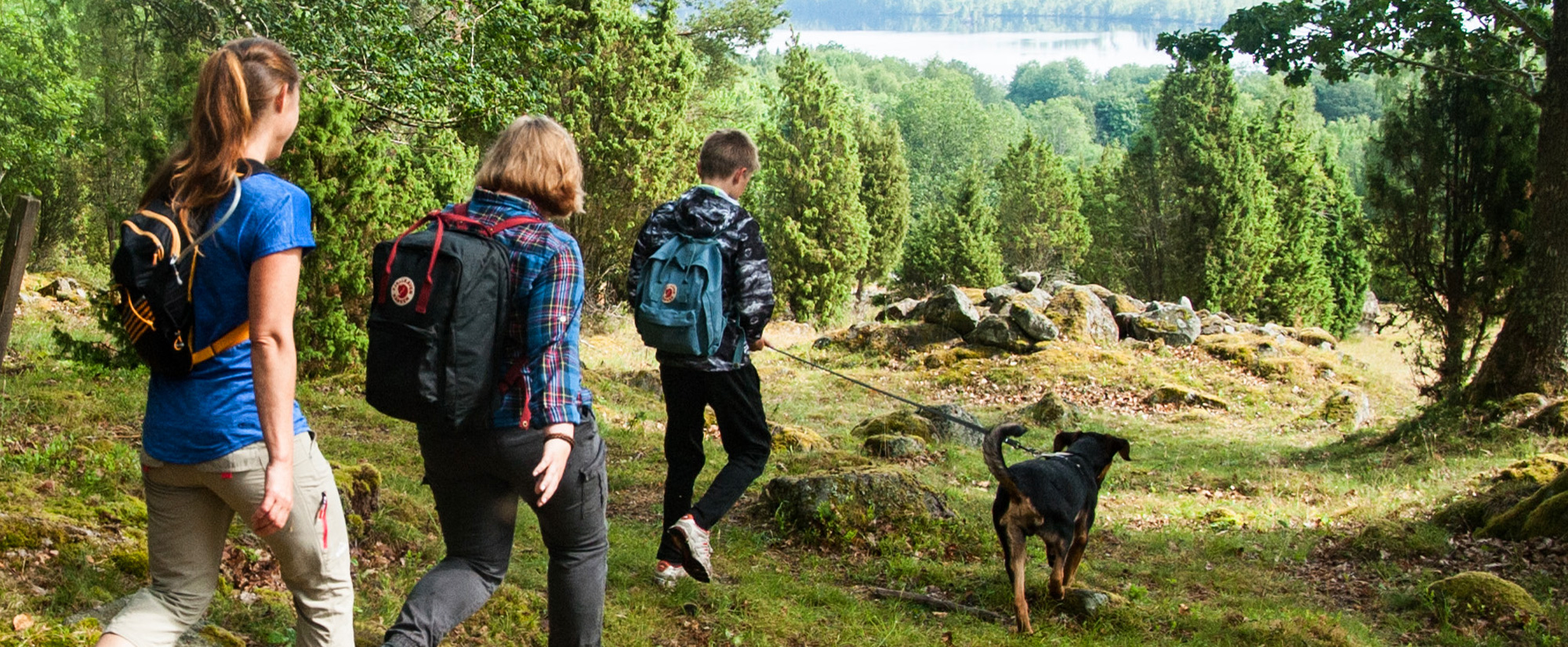 Vandring i Halen med utsikt över Boafall.