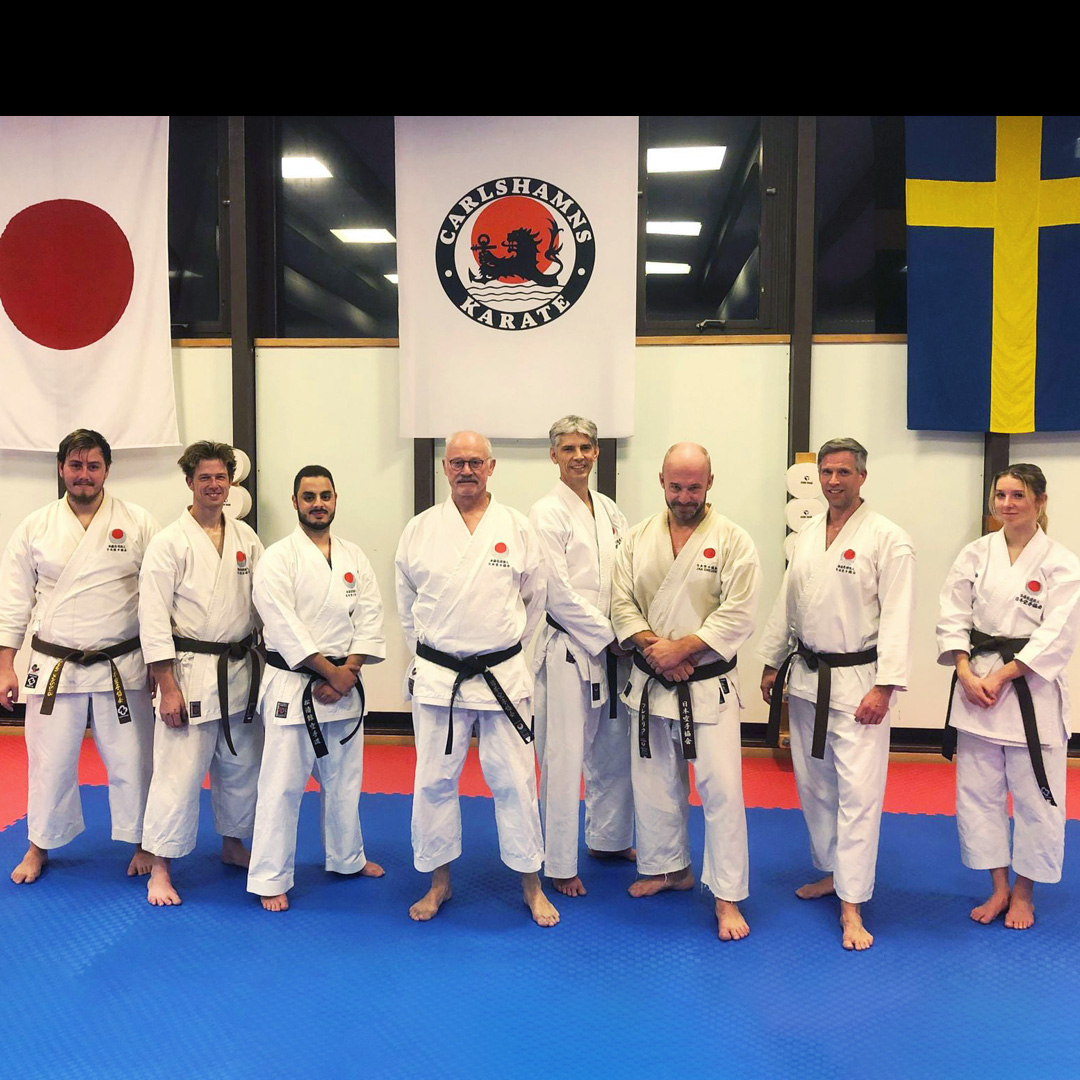 Carlshamns karate 8 personer